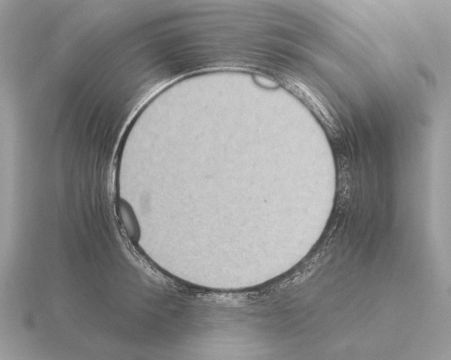 X0000115310900200912141134