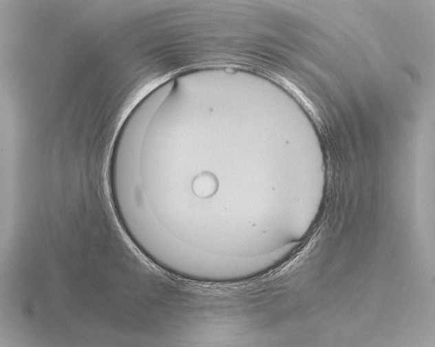 X0000115310901200912141134