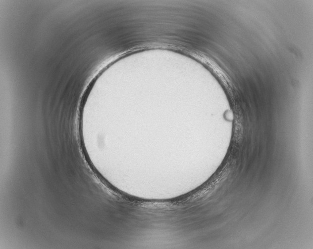 X0000115310902200912141134