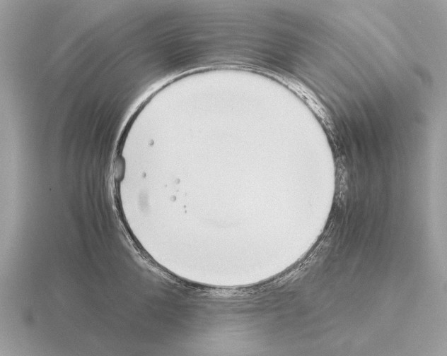 X0000115310904200912141134