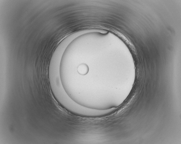 X0000115310905200912141134