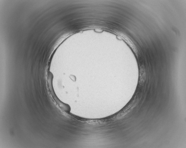 X0000115310906200912141134