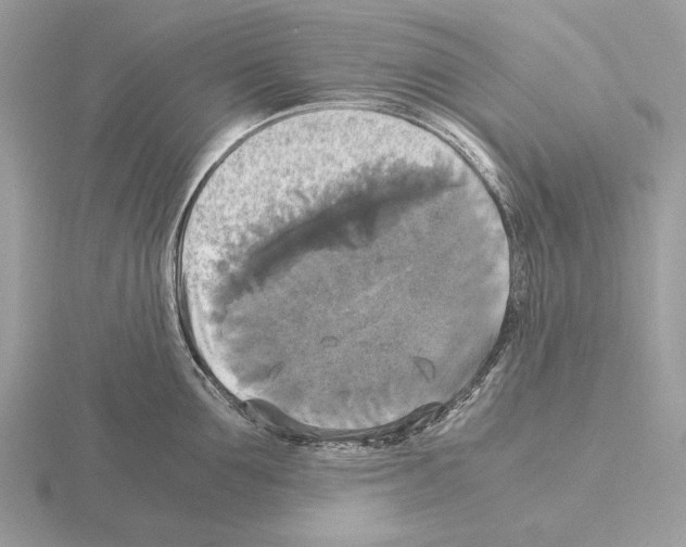 X0000115310907200912141134