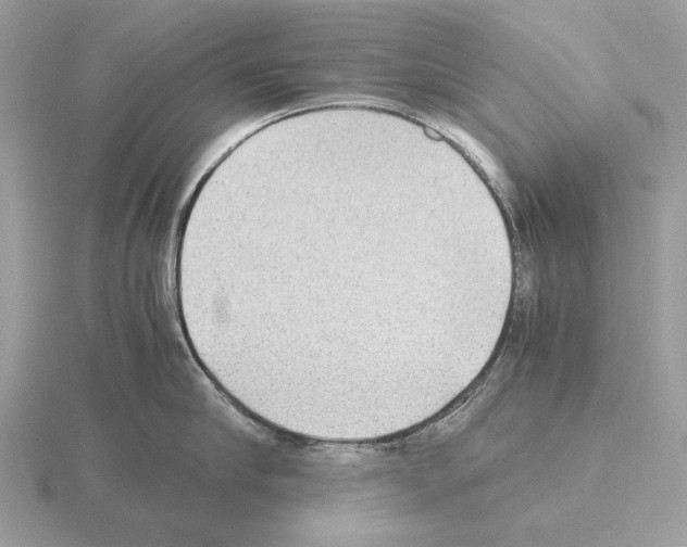 X0000115310910200912141134