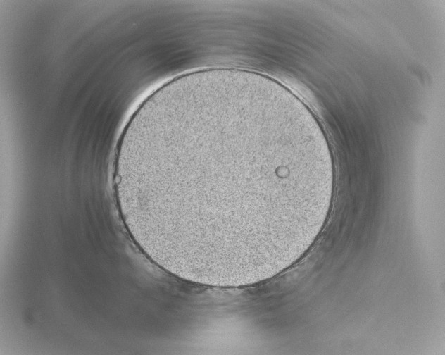 X0000115310912200912141134