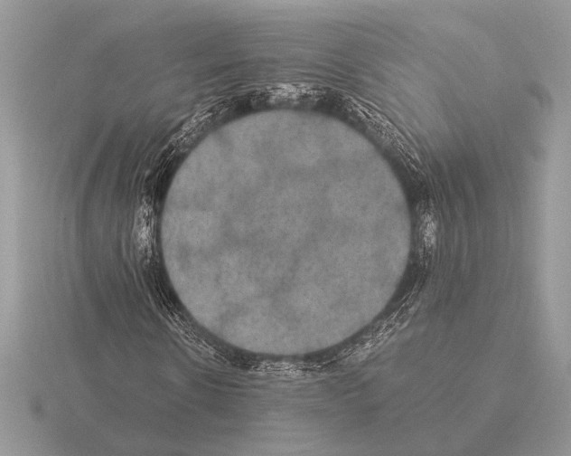 X0000115310914200912141134