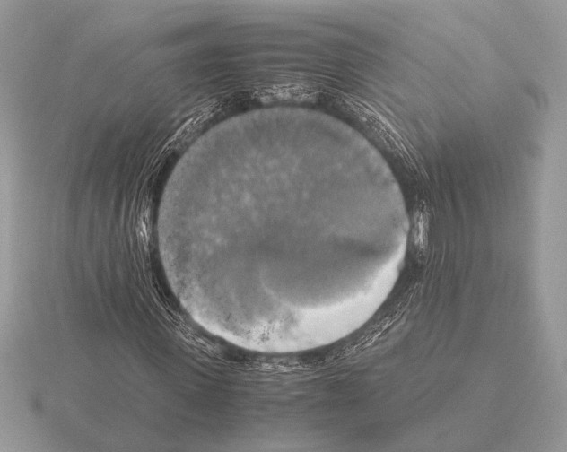 X0000115310915200912141134