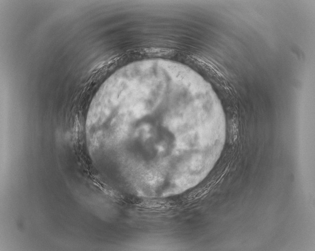 X0000115310917200912141134