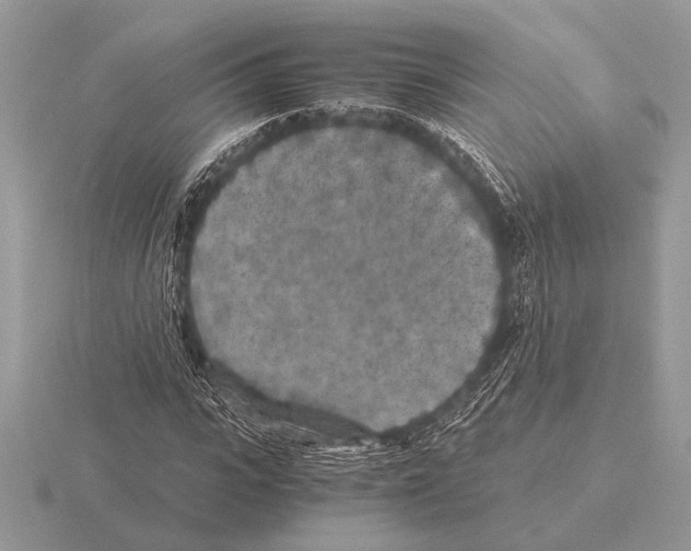 X0000115310919200912141134