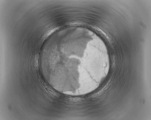 X0000115310921200912141134