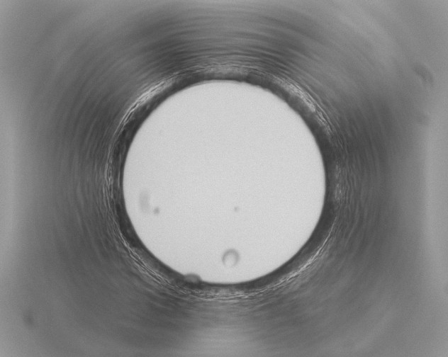 X0000115310922200912141134