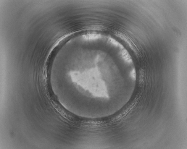 X0000115310923200912141134