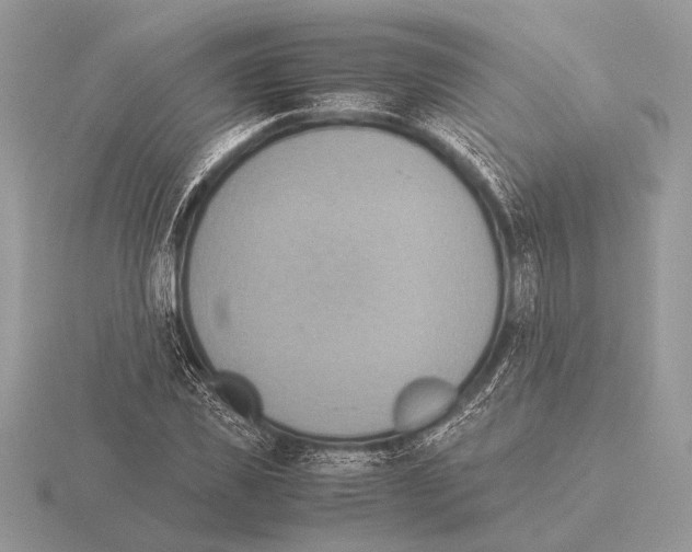 X0000115310925200912141134