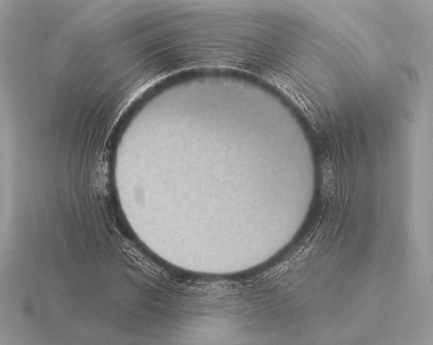 X0000115310926200912141134