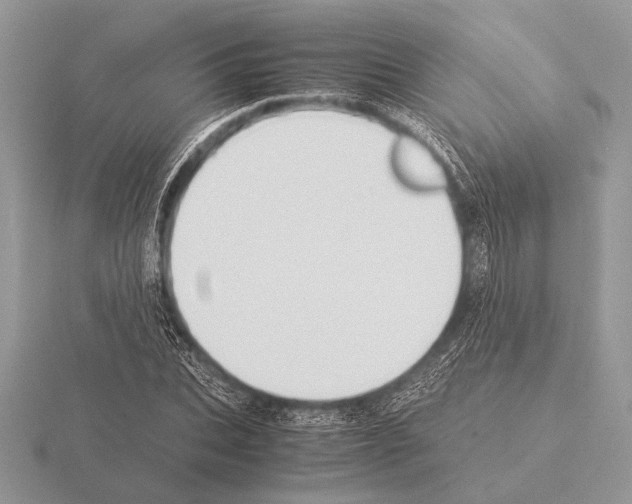 X0000115310927200912141134