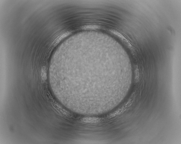 X0000115310929200912141134