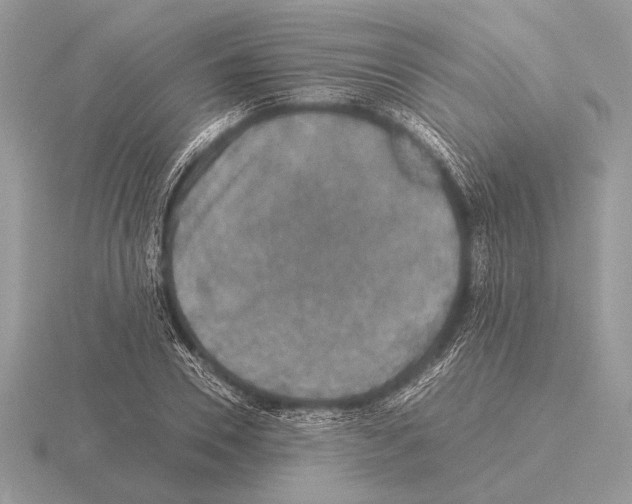 X0000115310930200912141134