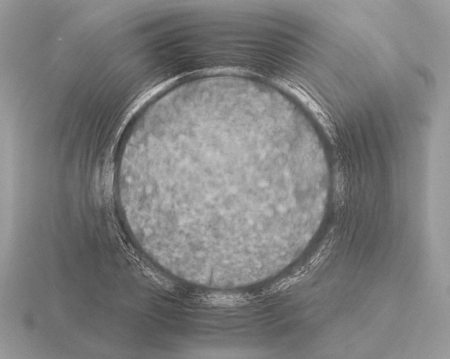 X0000115310933200912141134