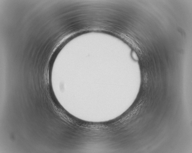 X0000115310934200912141134