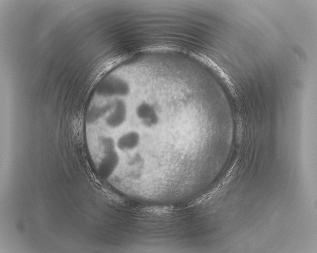 X0000115310937200912141134