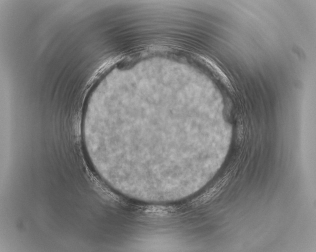 X0000115310938200912141134