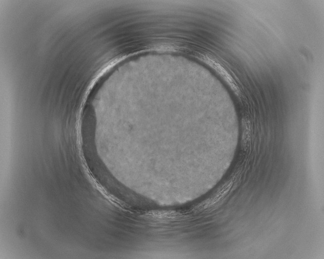 X0000115310939200912141134