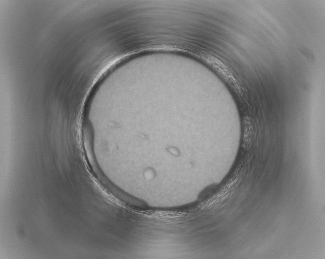 X0000115310942200912141134