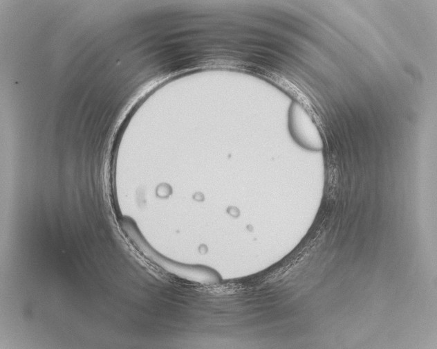 X0000115310947200912141134