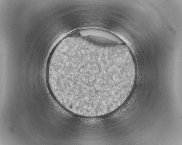 X0000115310949200912141134