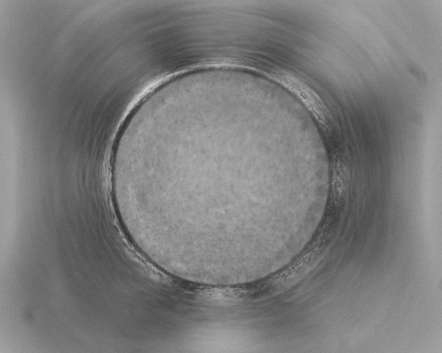 X0000115310950200912141134