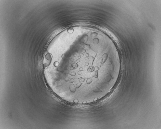 X0000115310953200912141134