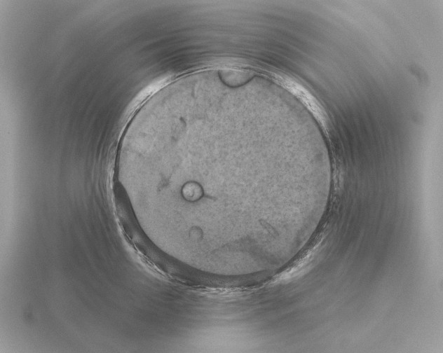 X0000115310954200912141134