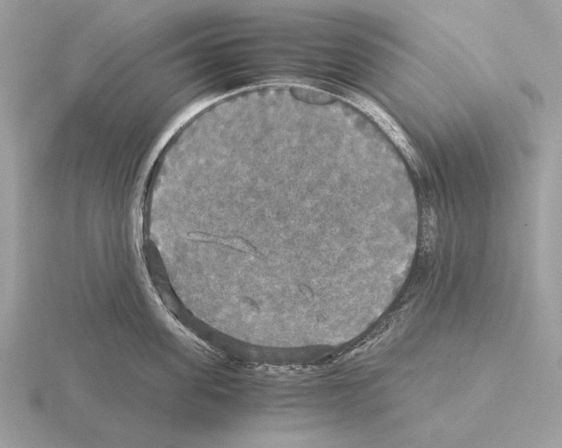 X0000115310955200912141134