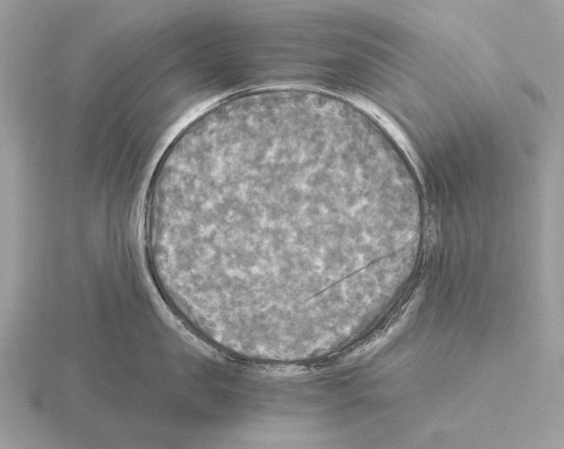 X0000115310957200912141134