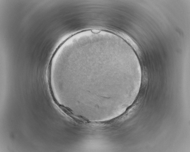 X0000115310958200912141134