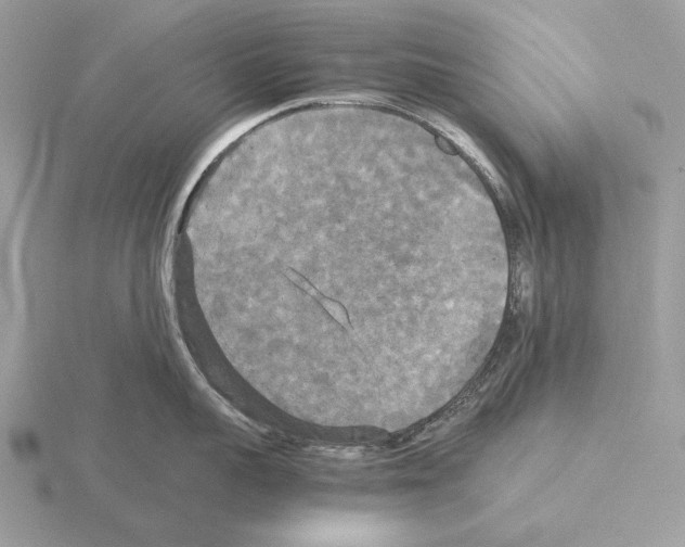 X0000115310959200912141134