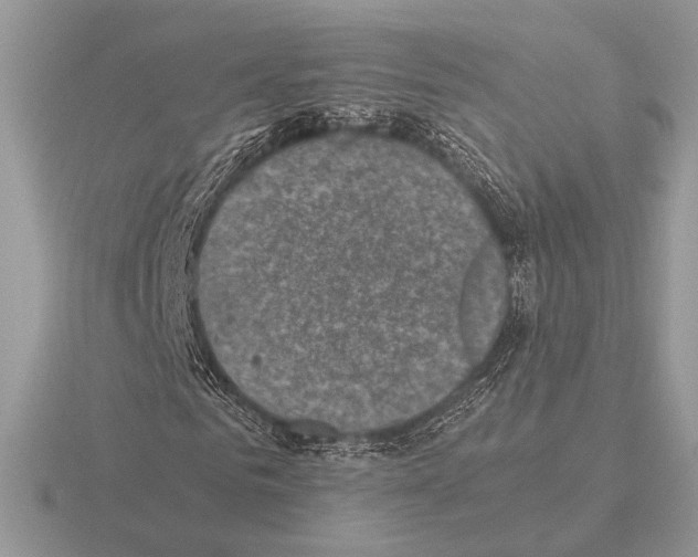 X0000115310961200912141134