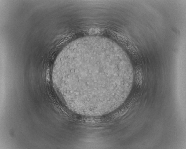 X0000115310962200912141134