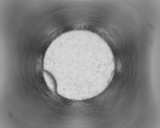 X0000115310964200912141134