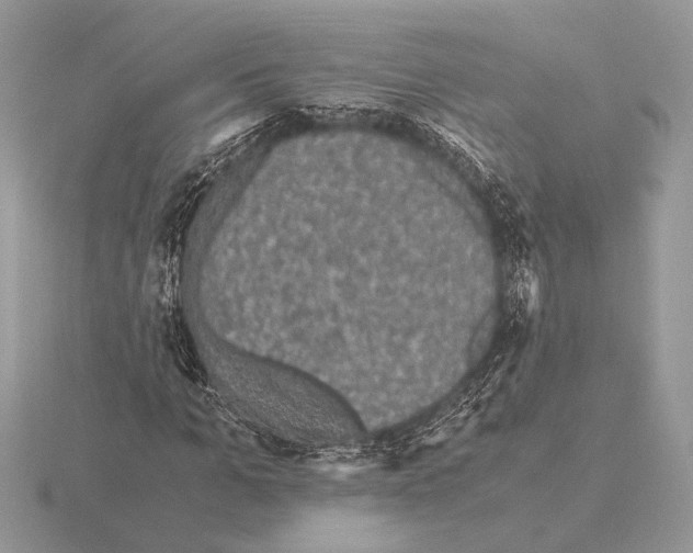 X0000115310965200912141134