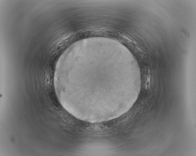 X0000115310966200912141134