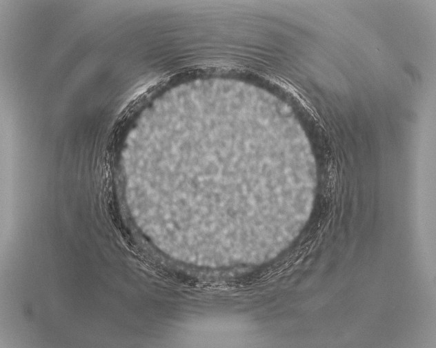 X0000115310967200912141134