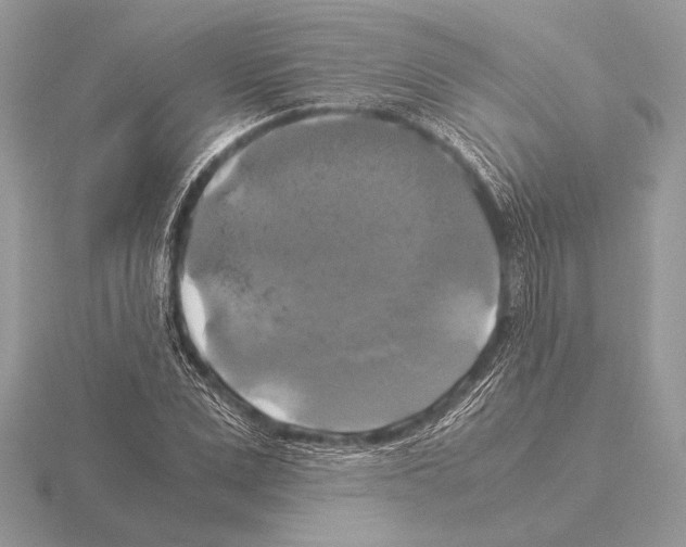 X0000115310975200912141133