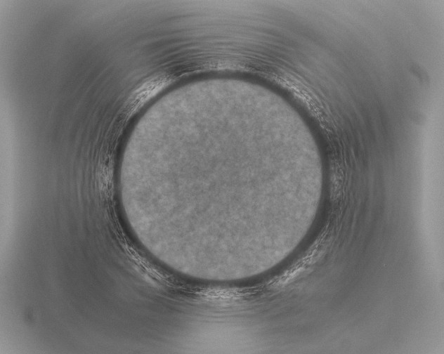 X0000115310977200912141133