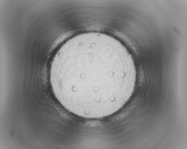 X0000115310978200912141133