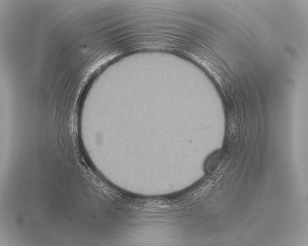 X0000115310979200912141133