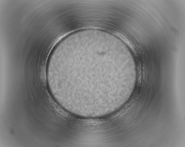 X0000115310980200912141133