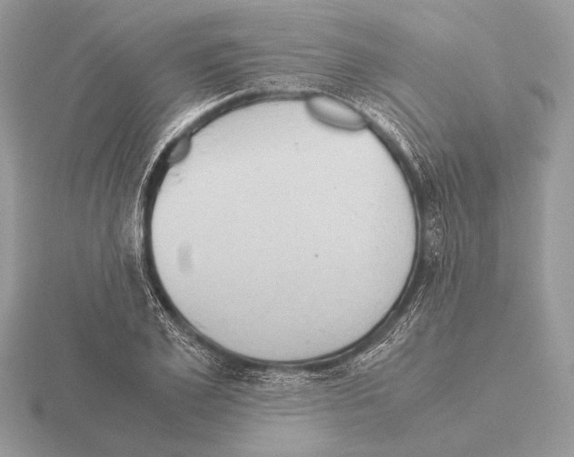 X0000115310981200912141133