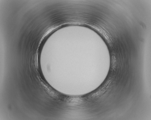 X0000115310982200912141133