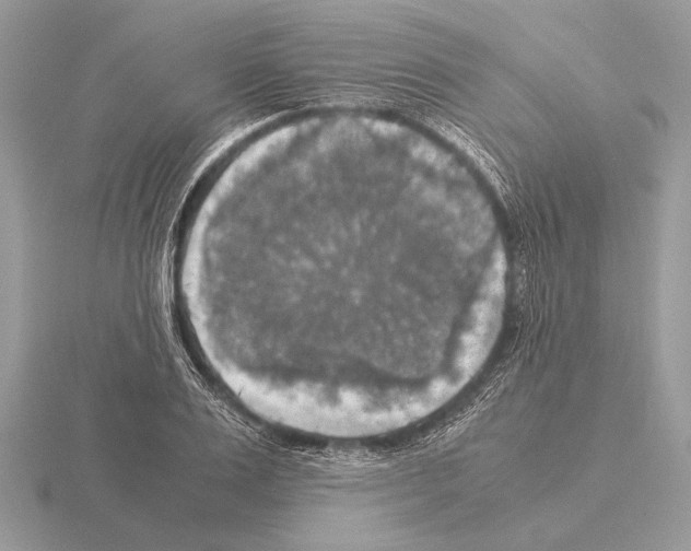 X0000115310983200912141133